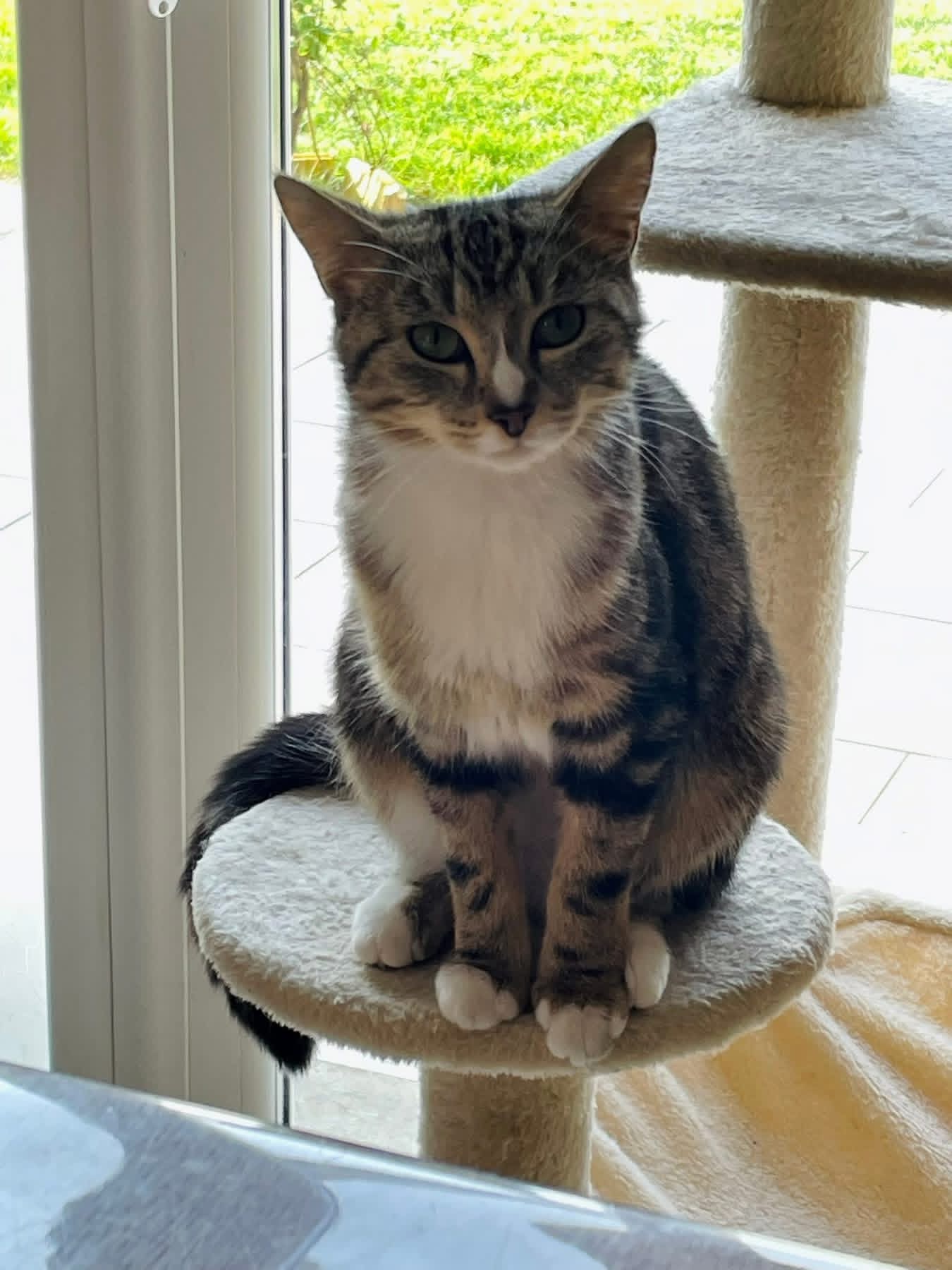 Mia