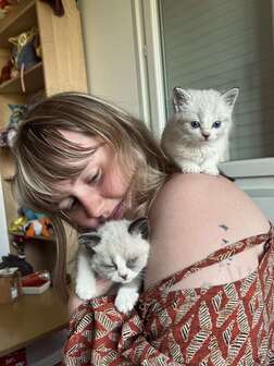 Bénévole avec des chats